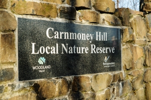 Carnmoney Hill-1